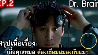 สรุปเนื้อเรื่อง ด็อกเตอร์ เบรน ep2 เมื่อคุณหมอ ต้องมาเชื่อมต่อสมองกับแมว ซีรี่ย์เกาหลี