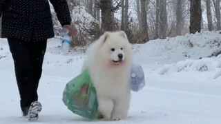Dog: Grandma and I collect trash, but she sells the trash and not me!
