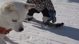 วิดีโอตัดต่อของเด็กอายุ 1 ขวบเล่นสกี อะไรจะน่าตื่นเต้นขนาดนี้?