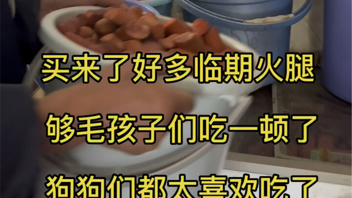 I bought a bunch of soon-to-expire ham—enough for the fur babies to enjoy a big meal! The dogs absol