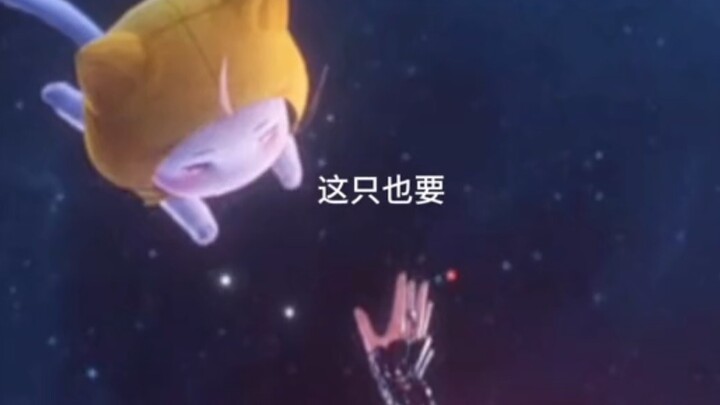 อะไรนะ! น้องเหมียวตัวใหญ่กางสองขาออกมาแล้ว!