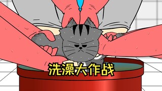 猫咪洗澡大作战