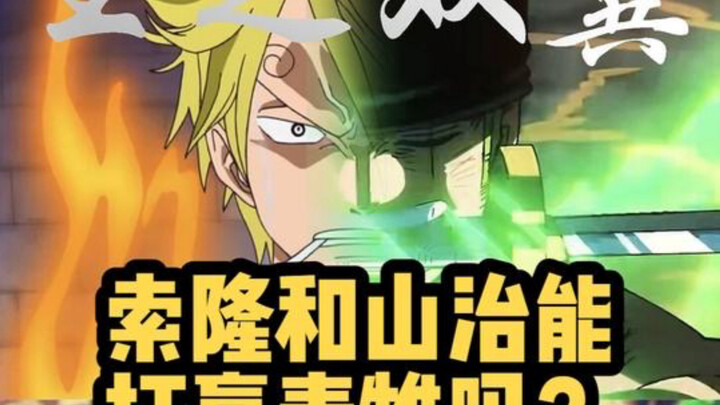 Can Luffy and Sanji defeat Aokiji?