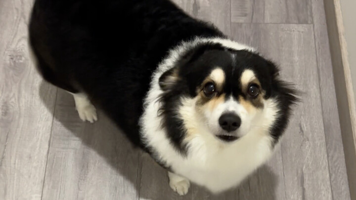 Ai mà hiểu được giá trị của khoảnh khắc mỗi ngày được về nhà chứ!