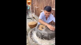 Tự làm tự nấu