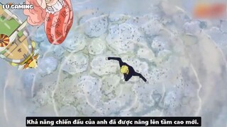 Top 10 Pha Combat Đẹp Nhất Của Sanji p6