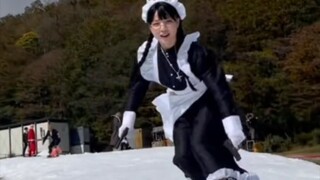 The Versatile Florentine Hound