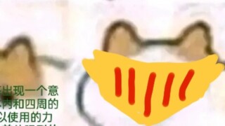 Magnetic Field Multiverse 11