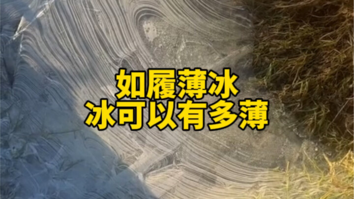 They say it’s like walking on thin ice—so just how thin can that ice get?