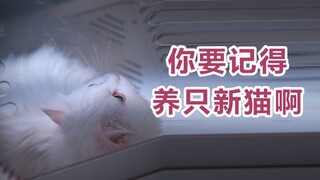 死亡不是生命的终点，被遗忘才是