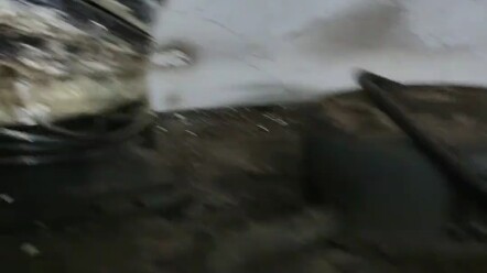 You pay half the rent!