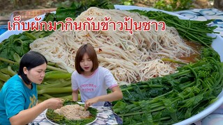 พาเก็บผักกินกับข้าวปุ้นซาวแซ่บๆกับ2แม่ลูกจ้า