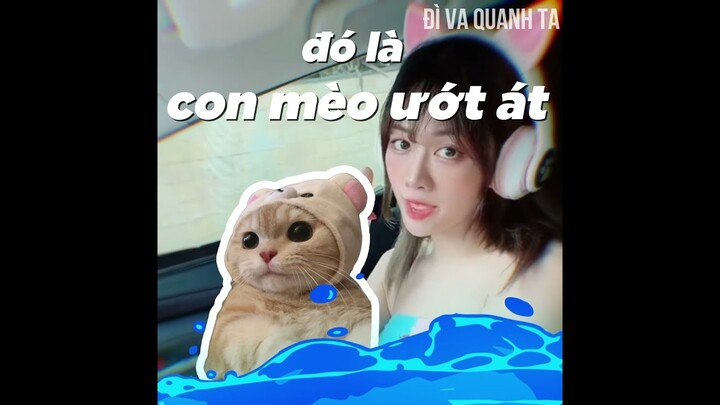 Con Mèo Ướt Át :3