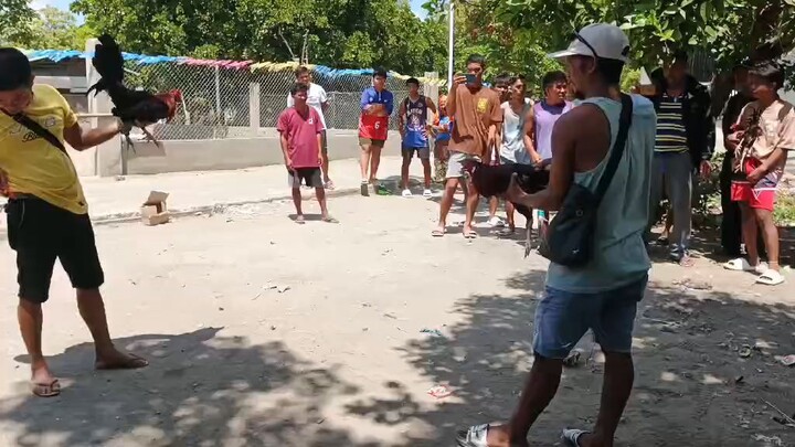 1xwinner sa kalwetan