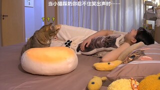 哈哈哈真的忍不住，像个小童工一样哈哈哈哈