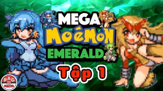 Mồ Ế Mon Tươi Xanh #1: Waifu ở Hoenn sẽ có điều gì mới ?!? | Mega Moemon Emerald | PAG Center