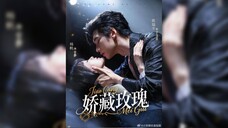 《娇藏玫瑰》Hidden Rose | Chen RuiFeng & Yang Fan