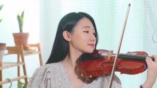 【Violin】Kỷ niệm 10 năm tác phẩm kinh điển đẫm nước mắt · tên loài hoa chưa từng được nghe đến "Căn c