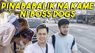 BALIK AE HOUSE | SORRY BOSS DOGS