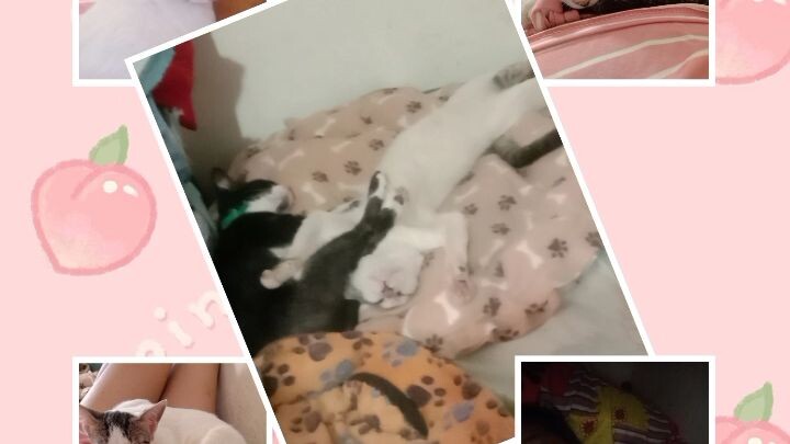 white ...my baby