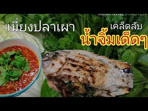 เมี่ยงปลาเผา​ ทำยังไงให้อร่อย​ เคล็ดลับน้ำจิ้มเด็ดๆ​ 🌶️🌶️อยู่นี่แล้วจ๊ะ​ โดยสาวขอนแก่น​ พาแซ่บ