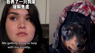 国外女子为缓解焦虑，带回一只狗狗，结局令人捧腹大笑