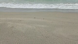 pantai cipatujah