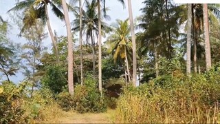 Du Lịch Phú Quốc Một Mình 3N2D Có Gì Hay 9