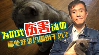 为了拍戏把动物给整死了？好莱坞竟然干这事儿！不答应！