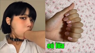 #621 Những CÚ LỪA THẾ KỶ  p50 ▶️ Tik Tok Cú Lừa  Mất Niềm Tin Vào Nhân Loại