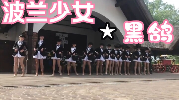 Polish Girl ★ Black Dove