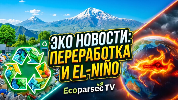 ПЕРЕРАБАТЫВАЕМ ПОЛИМЕРЫ, СЛЕДИМ ЗА EL-NINO, РАЗБИРАЕМ ПОСЛЕДНИЕ НОВОСТИ ЭКОЛОГИИ АРМЕНИИ