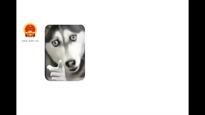 Anh ấy đã từng dũng cảm, nhưng cũng đã dũng cảm quá rồi.