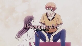 kyo&tohru | because you live