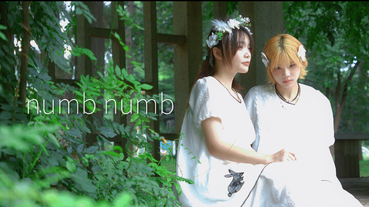 [Original Choreography] ⁎ numb numb ⁎ [Just Cotton]