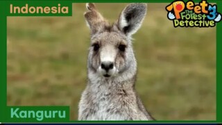 Kau Pasti Bisa, KanKan - Peet The Forest Detective 3 (Bahasa Indonesia)