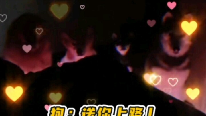 The moment I saw the lights go out, I burst into laughter.