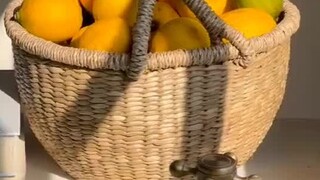 Fan Xin: Kalau begitu aku juga tipe akademis yang bergantung pada orang lain.