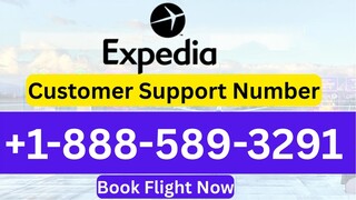 Quick® List of Official Turkish Airlines™️REservation™️ Contact Numbers in the usa : the Complete De