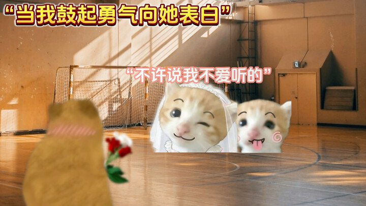 “Ketika kamu memberanikan diri untuk menyatakan cinta padanya”