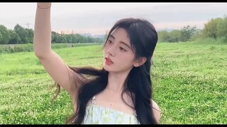 "Mỗi ngày một lần, không được phép nạp đạn."