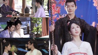 长相思，待相见！be氛围感满满…【长相思|杨紫×张晚意×邓为×檀健次×王弘毅】