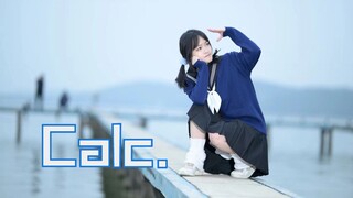 【毛虫虫】Calc.