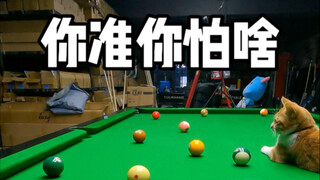 What are you afraid of if you're so confident?