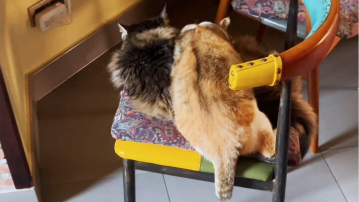 Sounds just like how we used to fight over stuff as kids… Am I right?