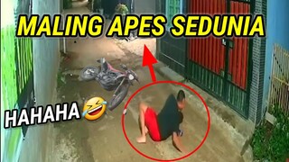 Maling Apes Sedunia || Para Maling Motor Kembali Di Bikin MaLu Oleh Warga