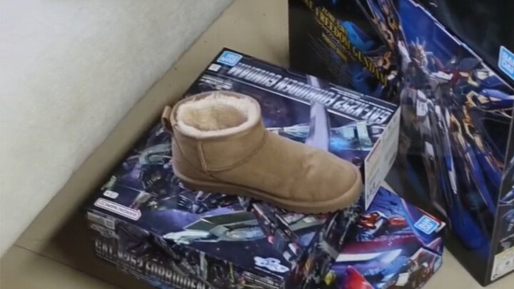 Đây có phải là trước kỳ nghỉ và sau kỳ nghỉ của bạn không?