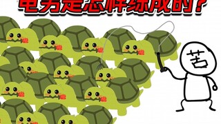 龟龟到底是怎样练成的？