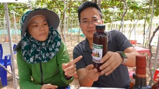 DU LỊCH NINH THUẬN _ Khám phá Cung Đường Ven Biển DT702 đến Vịnh Vĩnh Hy 27