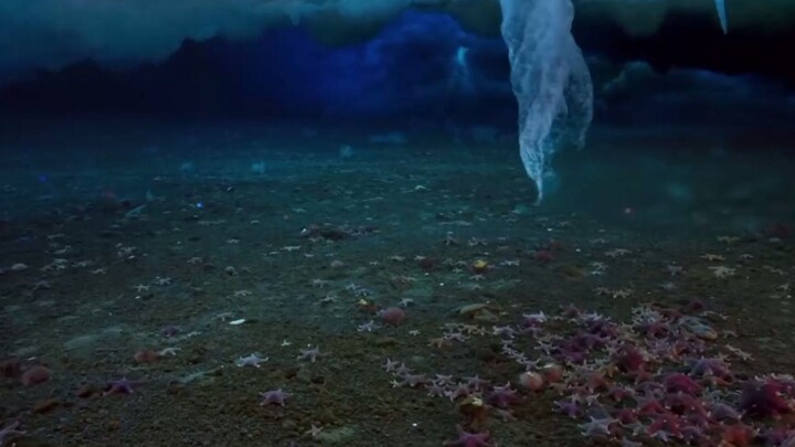 Death icicles really exist under the Antarctic ice! Photographed that it "frozen everything"